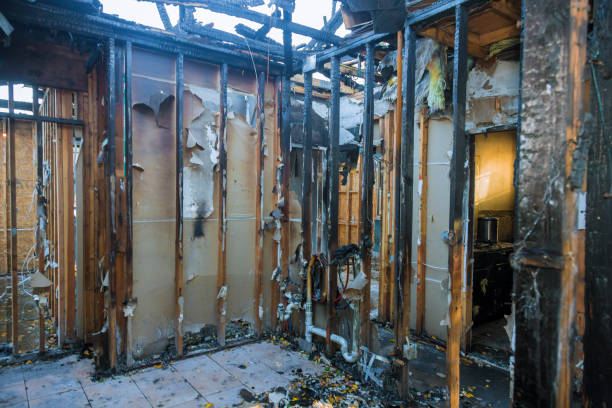 Professional Fire Damage Removal technician working in Woodville, OH